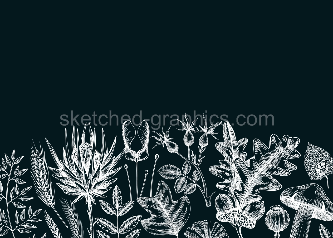 Autumn banner with fallen leaves and dried flowers. Botanical border template on chalkboard. Hand-drawn dried herbs, fall leaves, mushrooms, and fruit illustration. Thanksgiving background. Illustration